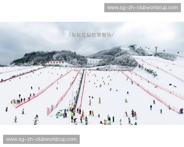 滑雪领队：把每一次下坡都变成难忘的冒险