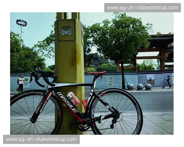 公路自行车阵容——为每一次出发打造专属速度与舒适